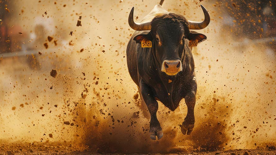 Stock Market Outlook 2025: Can the Bull Run Persist?